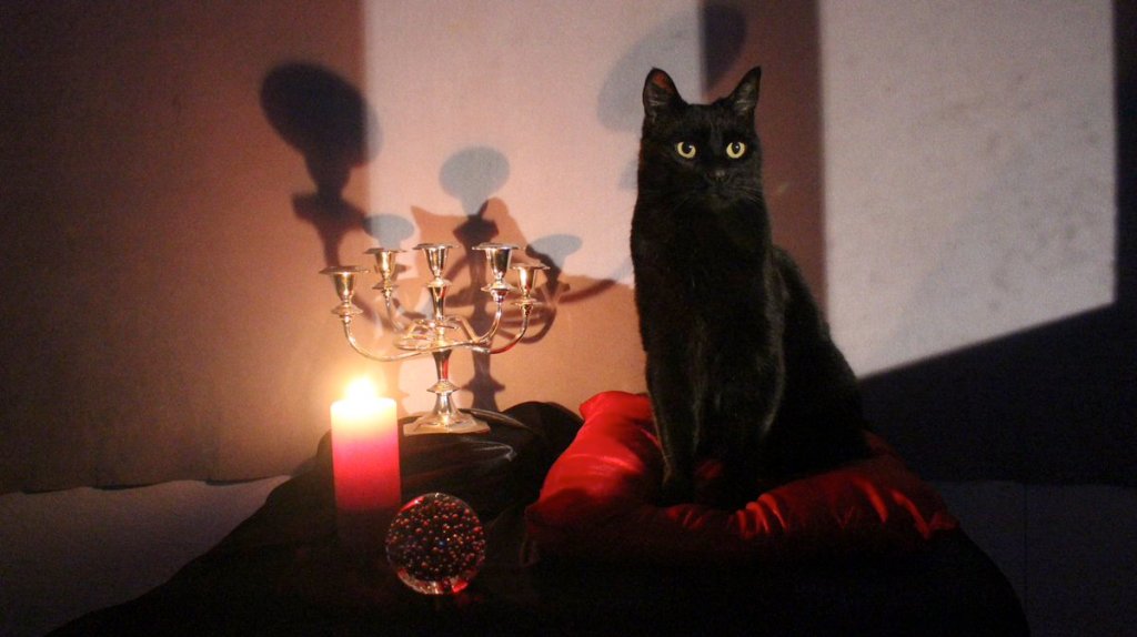 Feline Friday: Salem (Sabrina the Teenage Witch)